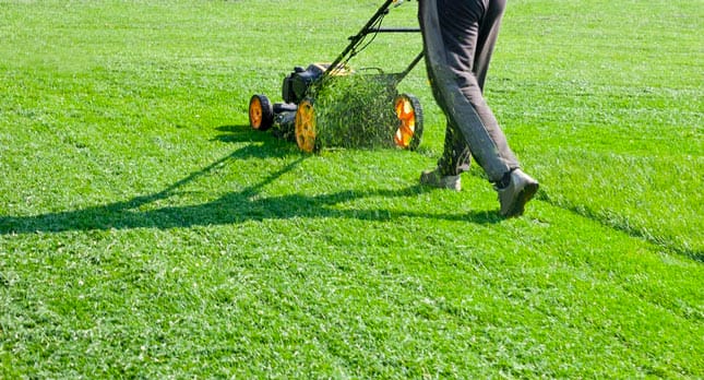 Lawn care