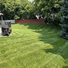 lawn care new